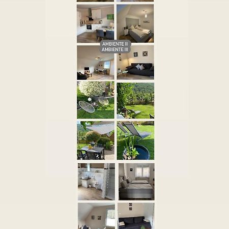 Ferienwohnung Ambiente II Und III Klotten Dış mekan fotoğraf