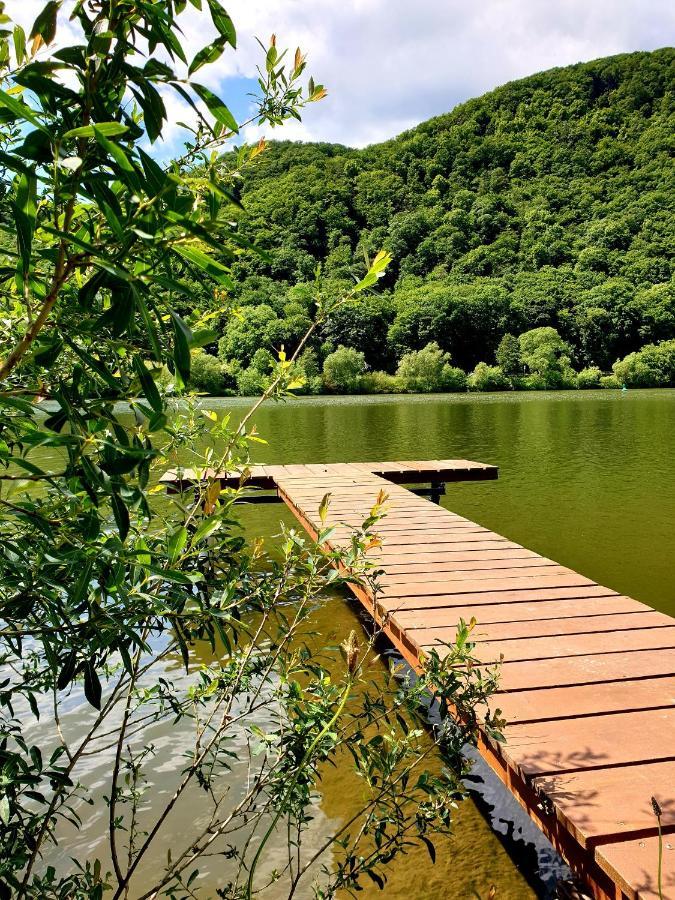 Ferienwohnung Ambiente II Und III Klotten Dış mekan fotoğraf