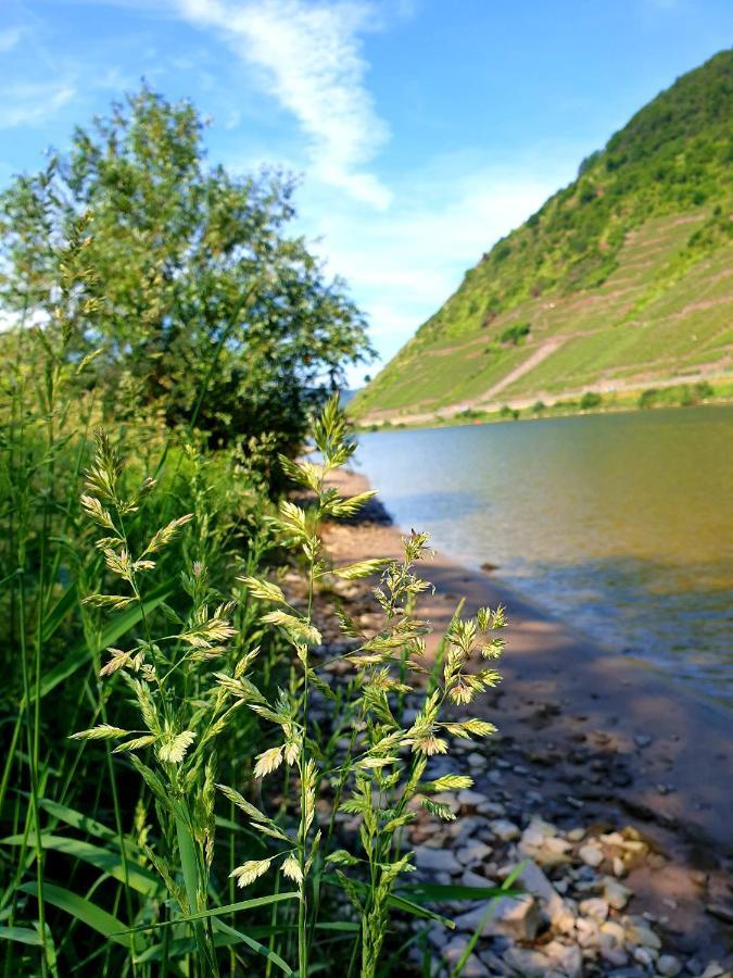 Ferienwohnung Ambiente II Und III Klotten Dış mekan fotoğraf