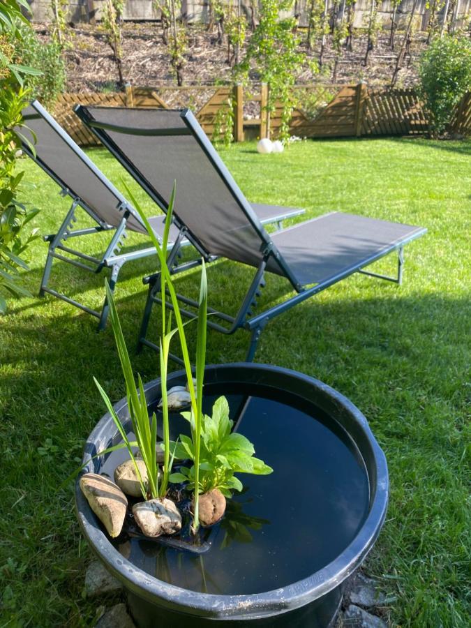 Ferienwohnung Ambiente II Und III Klotten Dış mekan fotoğraf