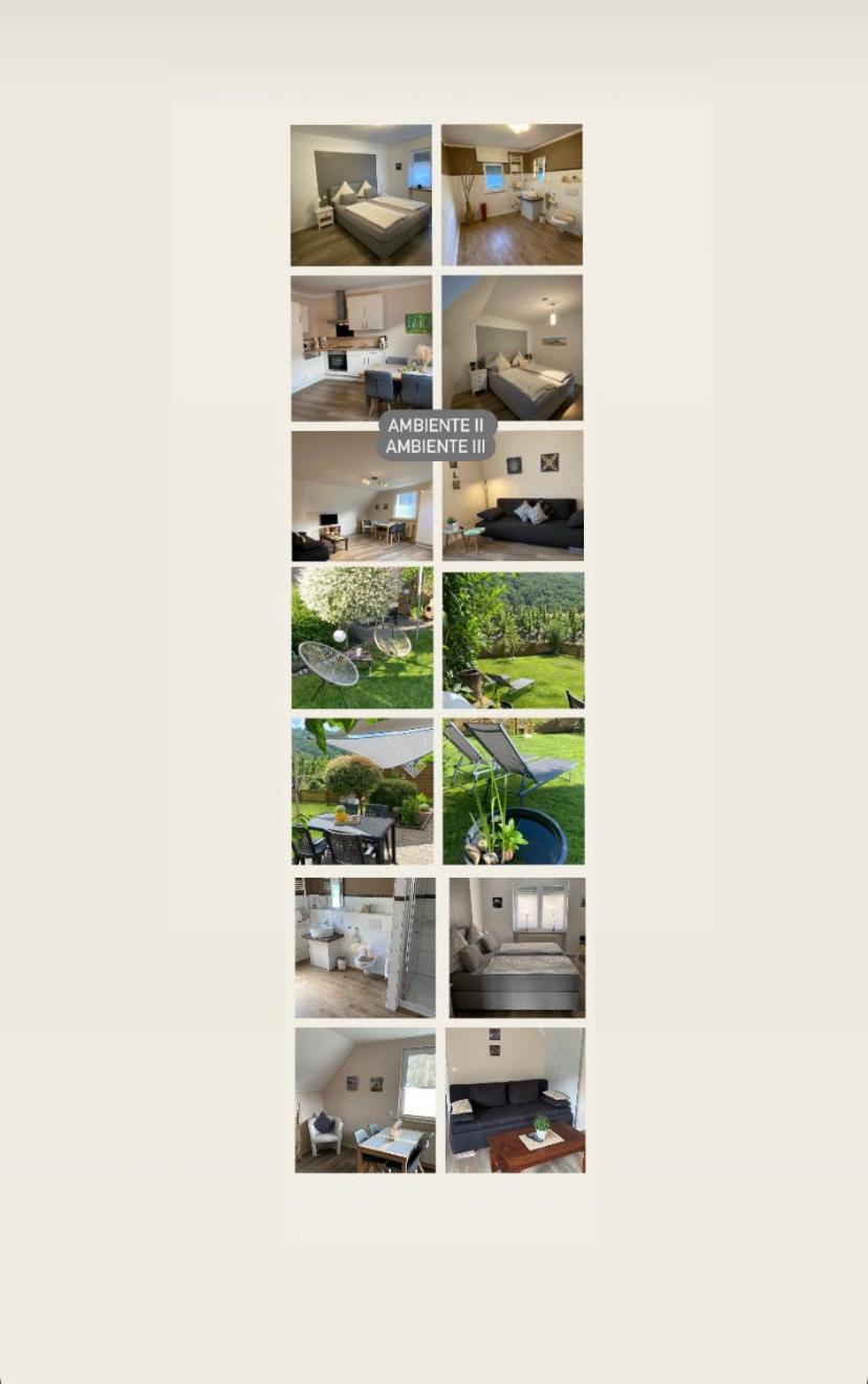 Ferienwohnung Ambiente II Und III Klotten Dış mekan fotoğraf